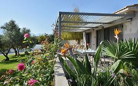 Alexandra'S Garden Houses